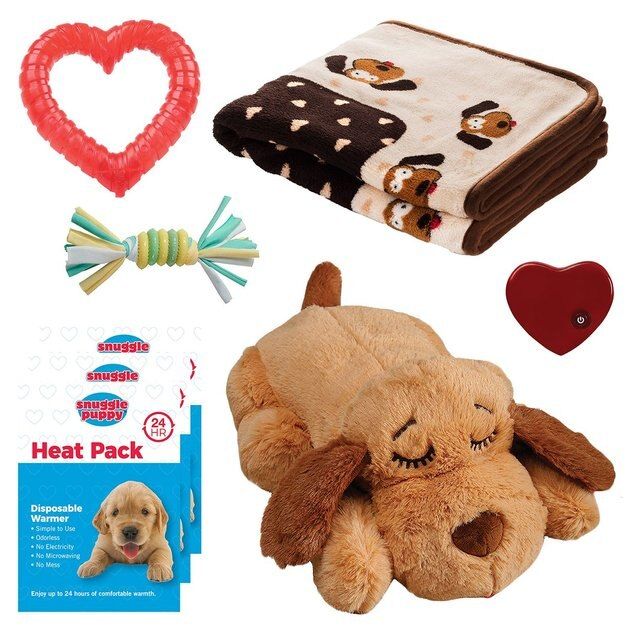 Smart Pet Love New Puppy Starter Kit, Neutral | Chewy.com