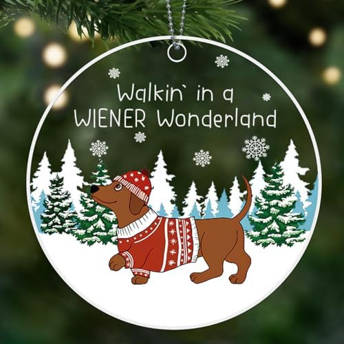 Dachshund Ornament, Weiner Dog Ornaments for Christmas Tree, Acrylic Pet Christmas Decor - Dachsh... | Amazon (US)