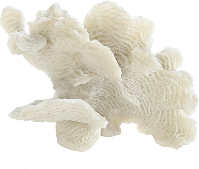 Accent Plus Large White Coral Tabletop Decor 9.25x4.5x6.5â€ | Amazon (US)