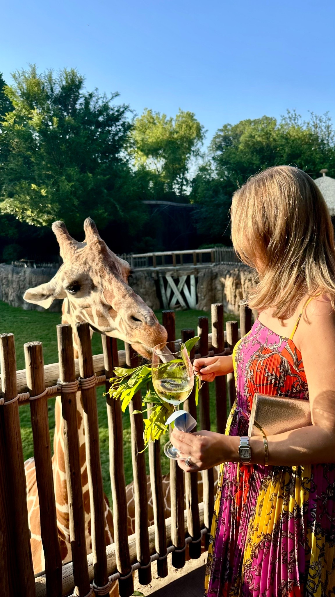 went to a fab wedding at the Fort Worth zoo last night & got to feed a cutie giraffe 💗 here’s a roundup of summer cocktail dresses that I’m loving 

#LTKSummerEdit #LTKSeasonal #LTKWedding