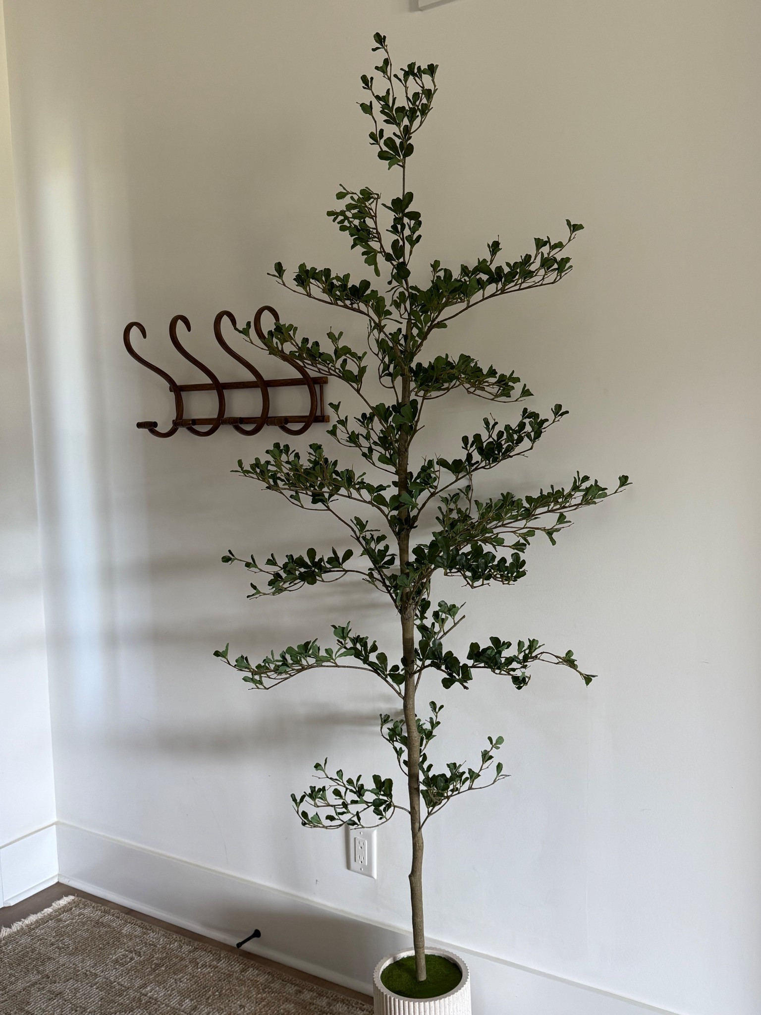 my favorite black olive tree on sale & $30 off for Labor Day !! 

Amazon finds 
Amazon deals
Amazon sale 

#LTKSaleAlert #LTKFindsUnder100 #LTKHome