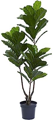 Nearly Natural 5449 65in. Fiddle Leaf Tree UV Resistant (Indoor/Outdoor),Green,65" | Amazon (US)