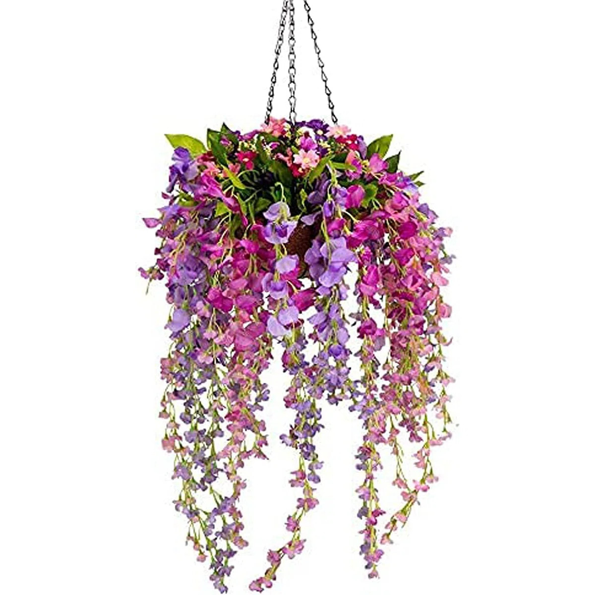 Primrue Wisteria in Hanging Basket | Wayfair | Wayfair North America