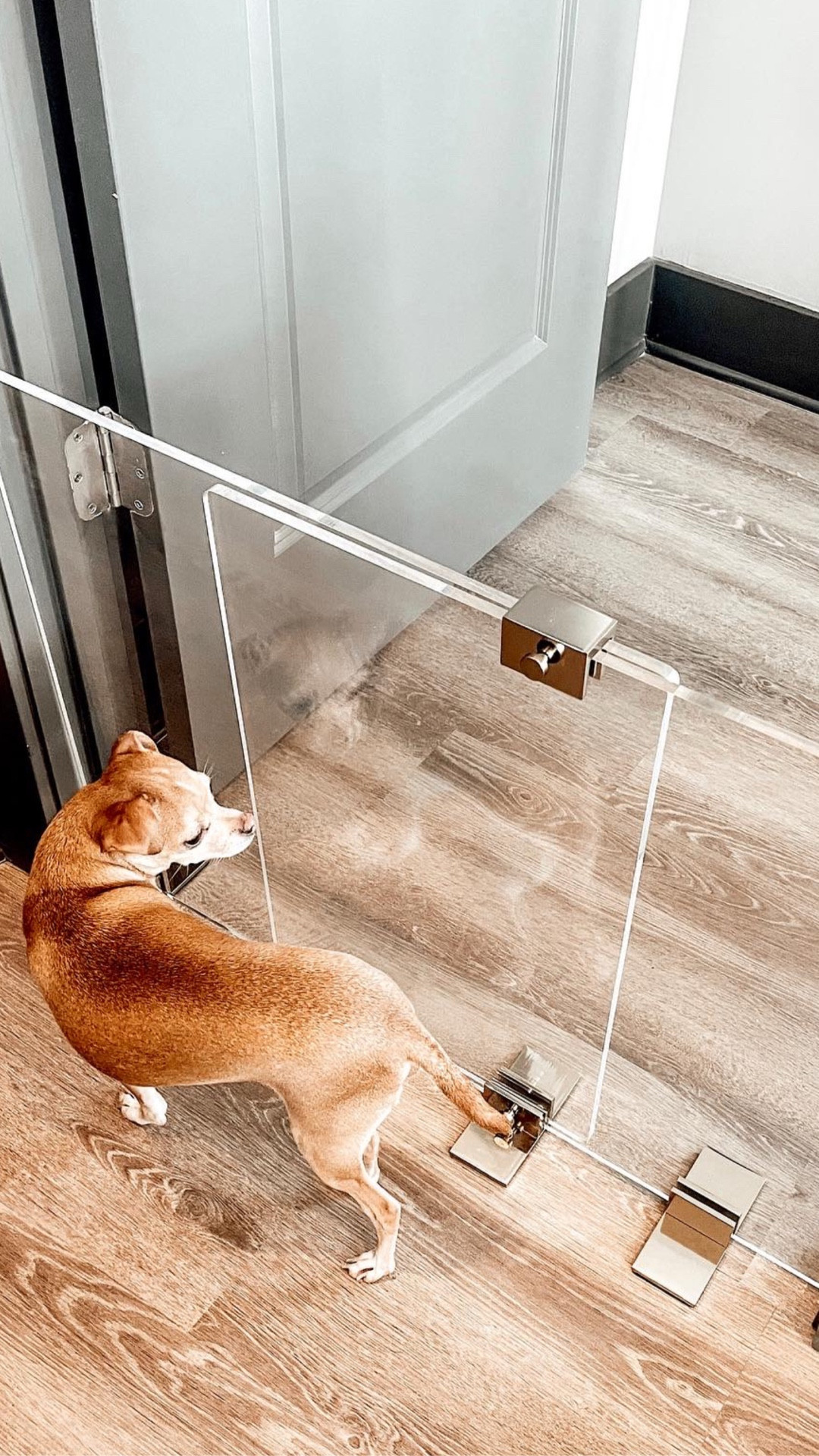 Apartment Therapy: Clear Pet Gates

Scroll to shop. I’m so glad you’re here. 

#LTKPet 

#LTKmomlife #LTKBeauty #LTKHome