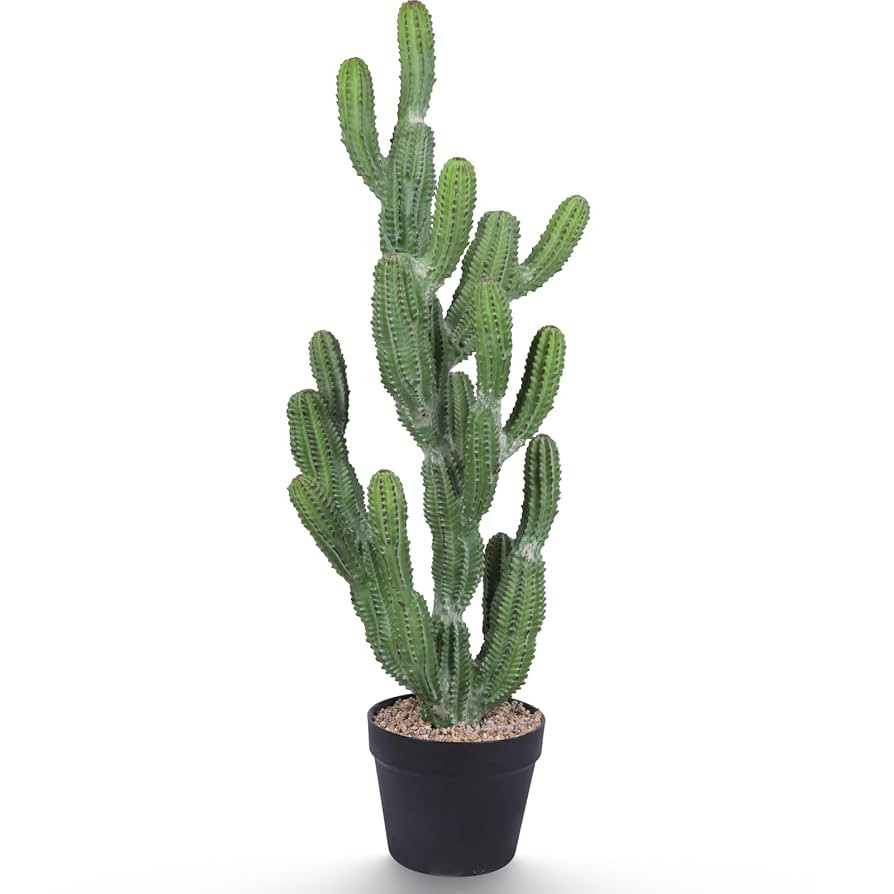 Artificial Cactus Plant 32 Inch Faux Desert Cacti Fake Cactus Potted Plant with Black Planter for... | Amazon (US)
