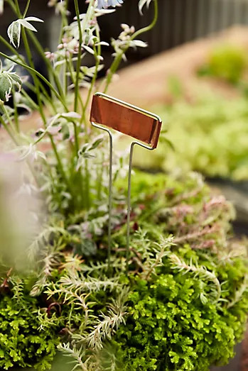 Vertical Copper Plant Markers, Set of 10 | Terrain