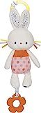 GUND Baby Tinkle Crinkle Activity Plush Bunny Stuffed Animal, 13 | Amazon (US)