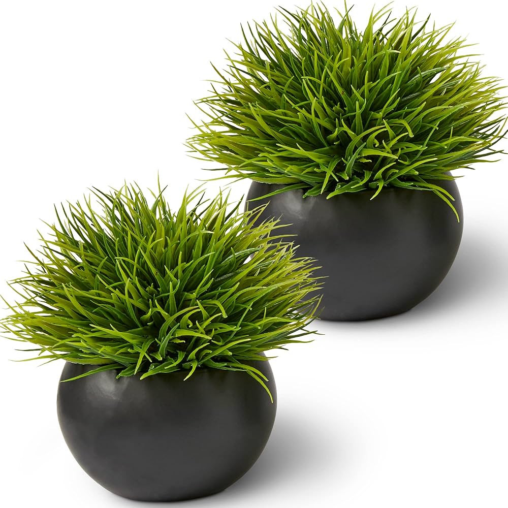 SEEKO Fake Plants for Home Décor (2-Pack) Bathroom Décor, Shelf Décor, Office Décor, Masculin... | Amazon (US)