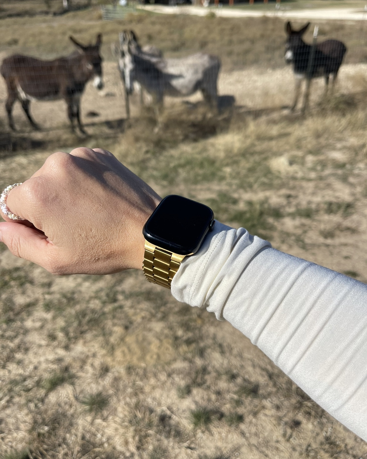 Perfect gold watch band 

#LTKFindsUnder50 #LTKStyleTip #LTKMostLoved