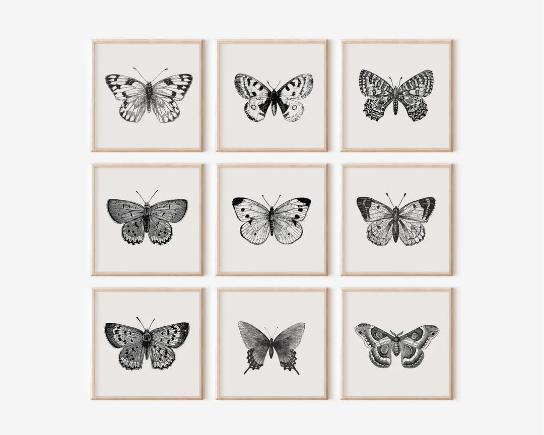 Black Sketch Butterflies Printable Wall Art Set Set of 9 - Etsy | Etsy (US)