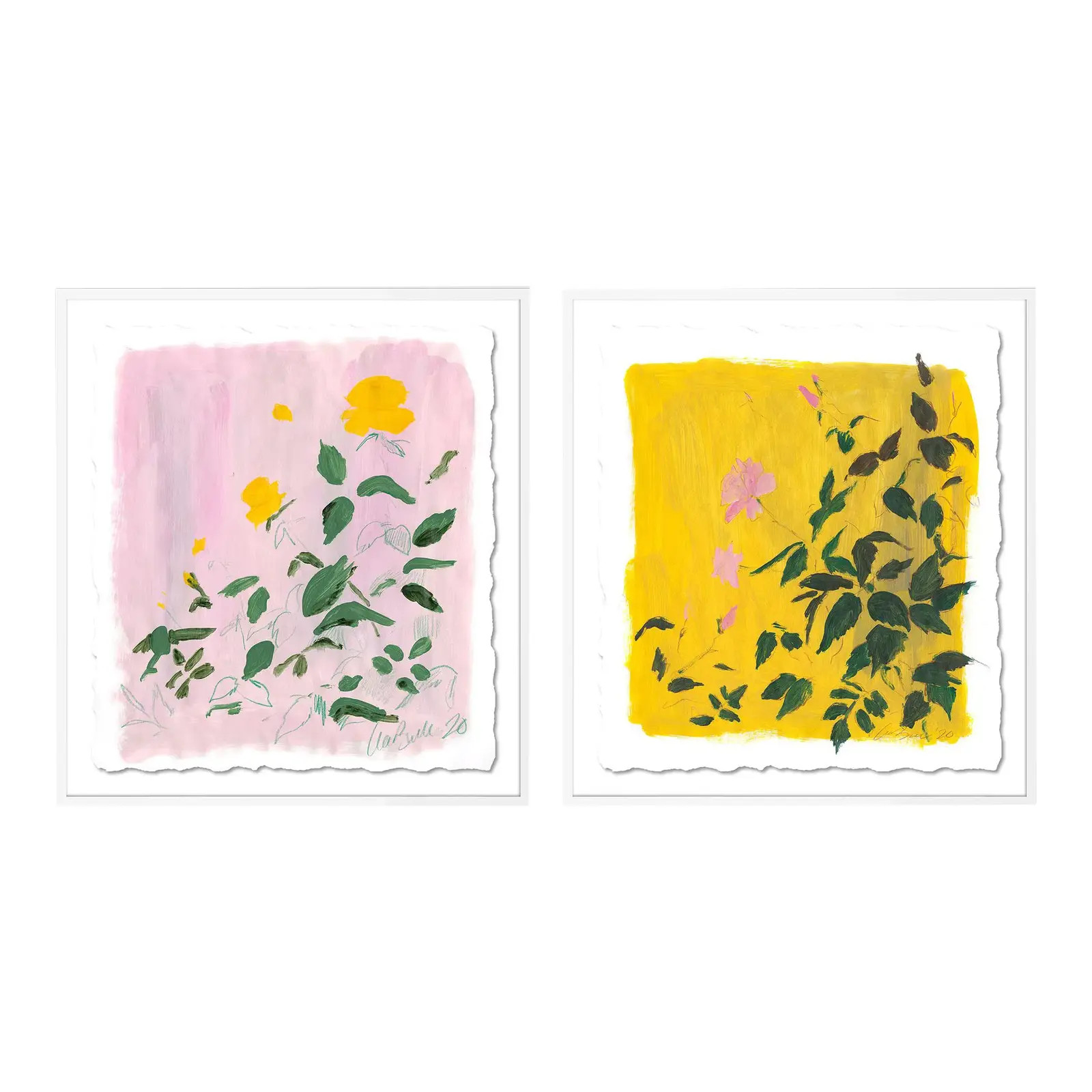 Botanical Diptych by Lia Burke Libaire in White Frame, Small Art Print | Chairish