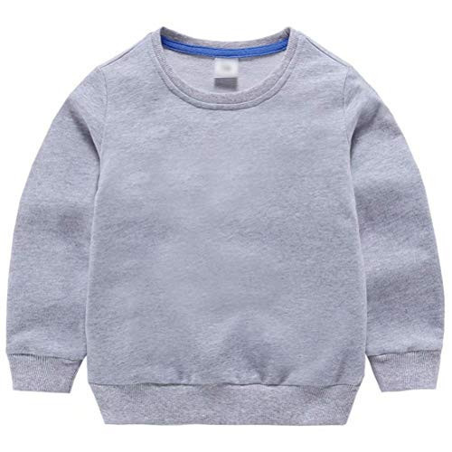 AIWUHE Toddler Boys Girls Solid Pullovers Sweatshirt Long Sleeve T-Shirt Kids Cotton Crewneck Thin Tops Blouse 2T Gray 90 | Amazon (US)