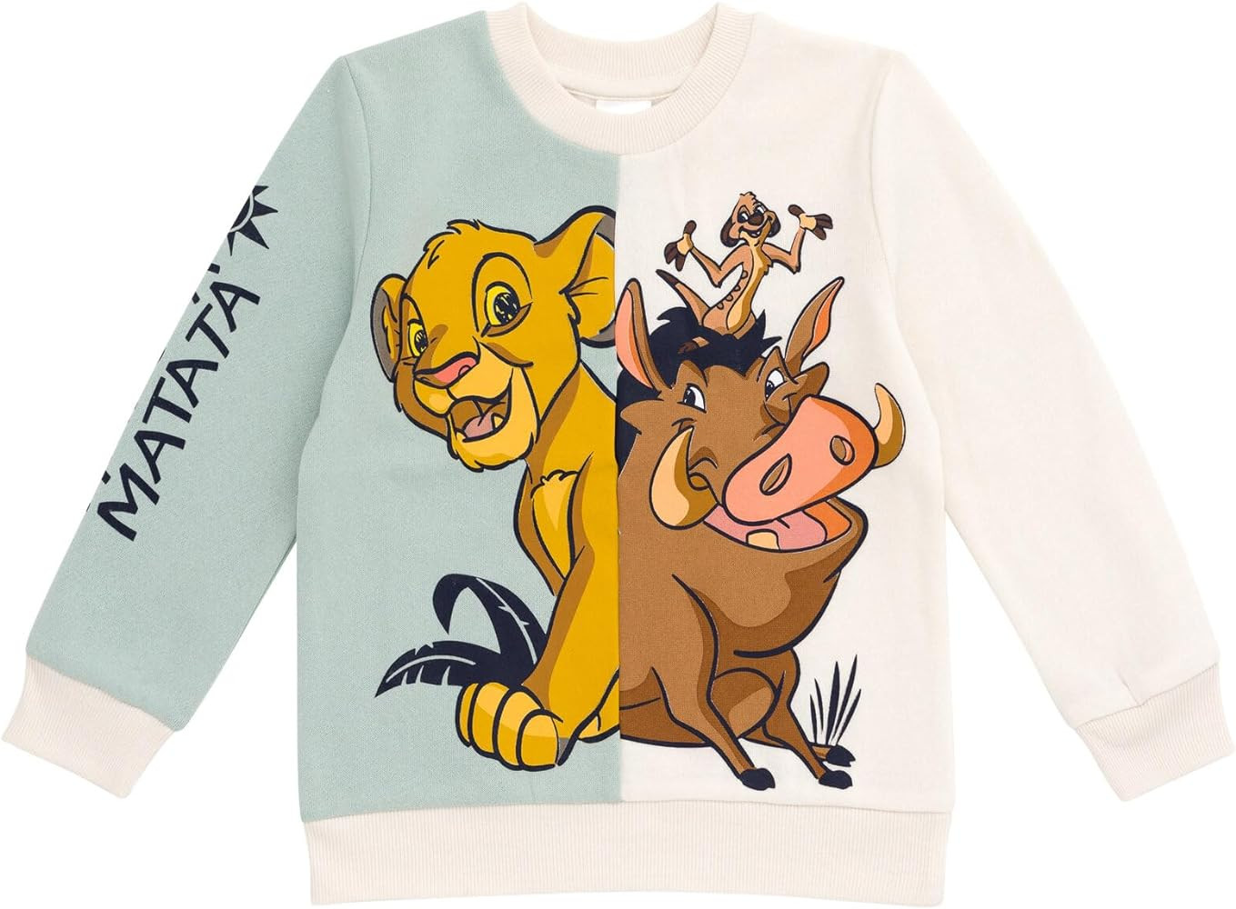 Disney Lion King Mickey Mouse Cars Toy Story Sweatshirt Toddler to Big Kid Sizes (2T - 18-20) | Amazon (US)