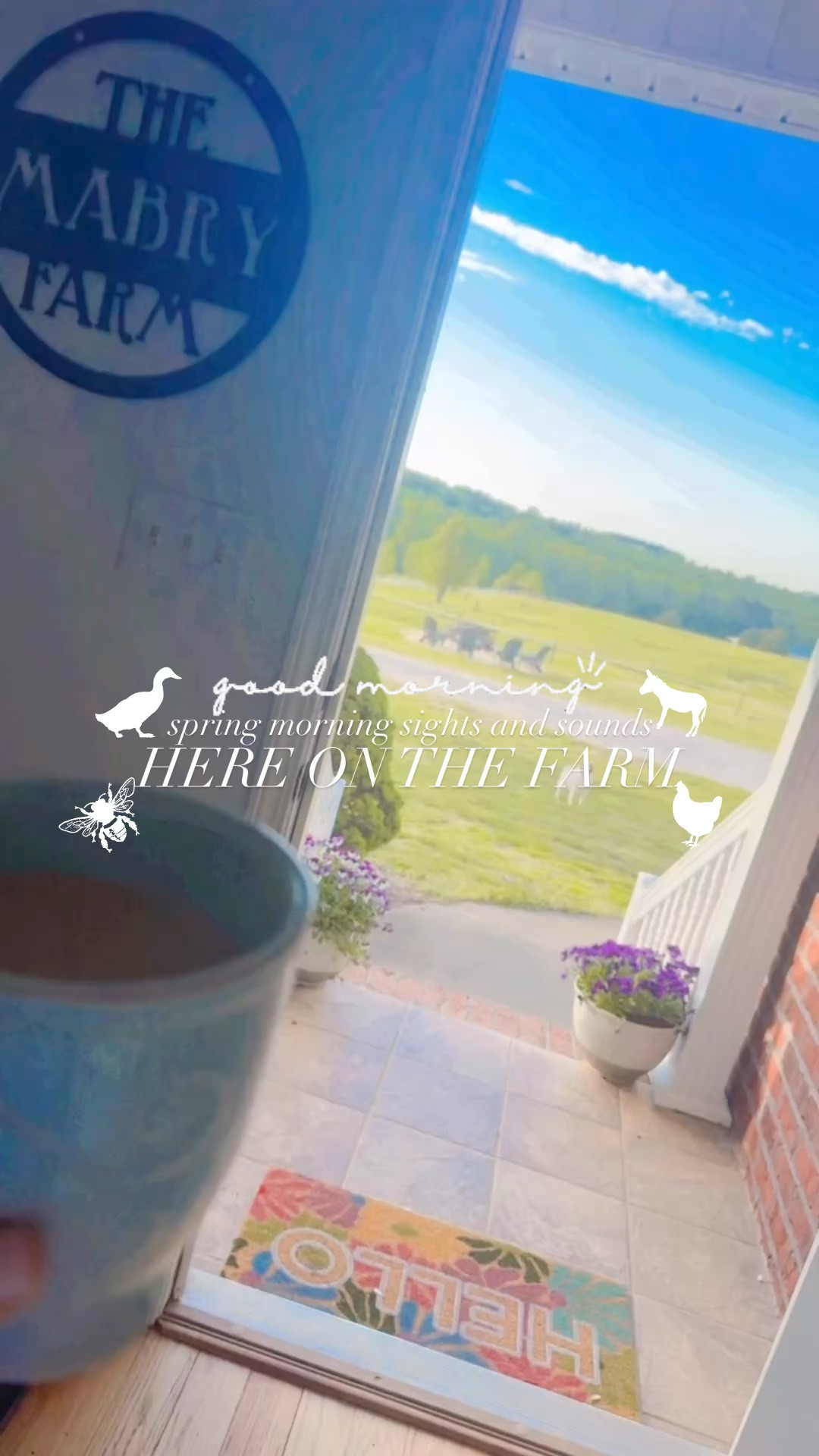 spring morning sights and sounds here on the farm!!! 