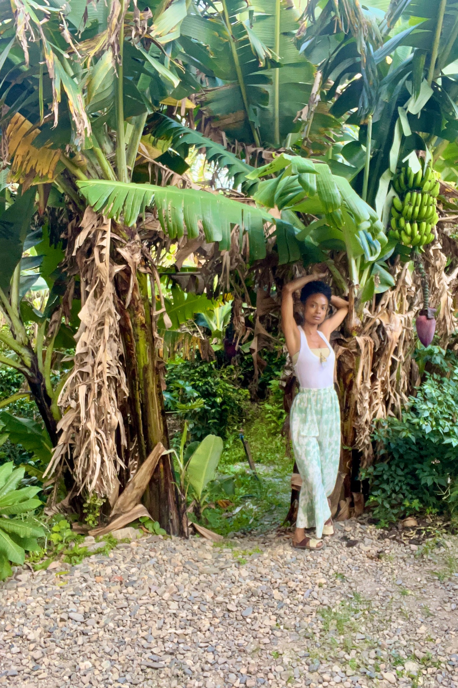 What you look like during your work day has a lot to do with what your workday looks like. 

Digital nomads, creatives, & those of us who work from home have the option of embracing fashionable lounge looks. Stuff you can play around in the jungle & hop on a Zoom call in.

Inspired by this vintage BCBG top, pants purchased locally in Ecuador, a gifted quartz, & shoes sourced in Oaxaca (which I wore for breakfast with friends, a canal water check, morning page writing, podcast listening, cleaning, chili oil making, & a never ending journey of editing) - I bring you a look that’s far from J. Crew & blazers.

All respect to Jenna Lyons. ❤️‍🔥 

#workwear #loungewear

#LTKFind #LTKstyletip