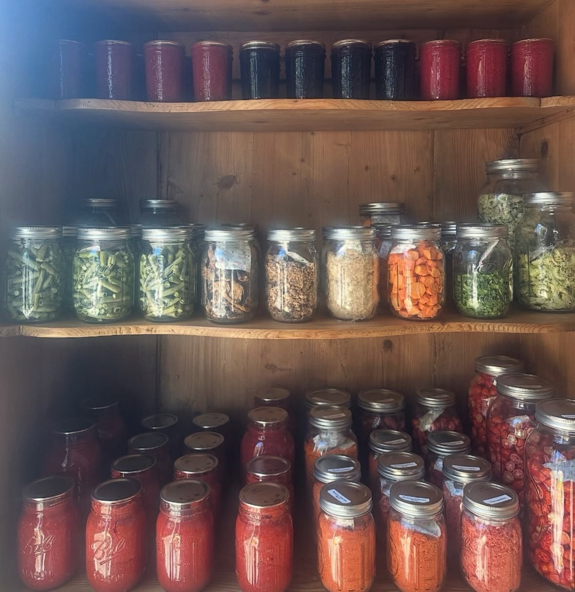 The pantry is filling up for winter and I’m so excited — this is my first time having so much fresh and preserved food on hand 🍅🫛🍄‍🟫🥕

We have a mix of freeze dried food (like green beans, cherry tomatoes, chopped spinach, mushrooms, chili, mashed potatoes, and even bone broth) and then other things I’ve preserved through water bath canning (like my jams, homemade ketchup, vodka sauce base, marinara, and plain tomato sauce) to help us make easy homemade meals without needing to go to the grocery store constantly, or breaking the bank… 

#freezedriedfood #freezedrying #waterbathcanning #preservingfood #preserving

#LTKHome #LTKSeasonal #LTKFamily