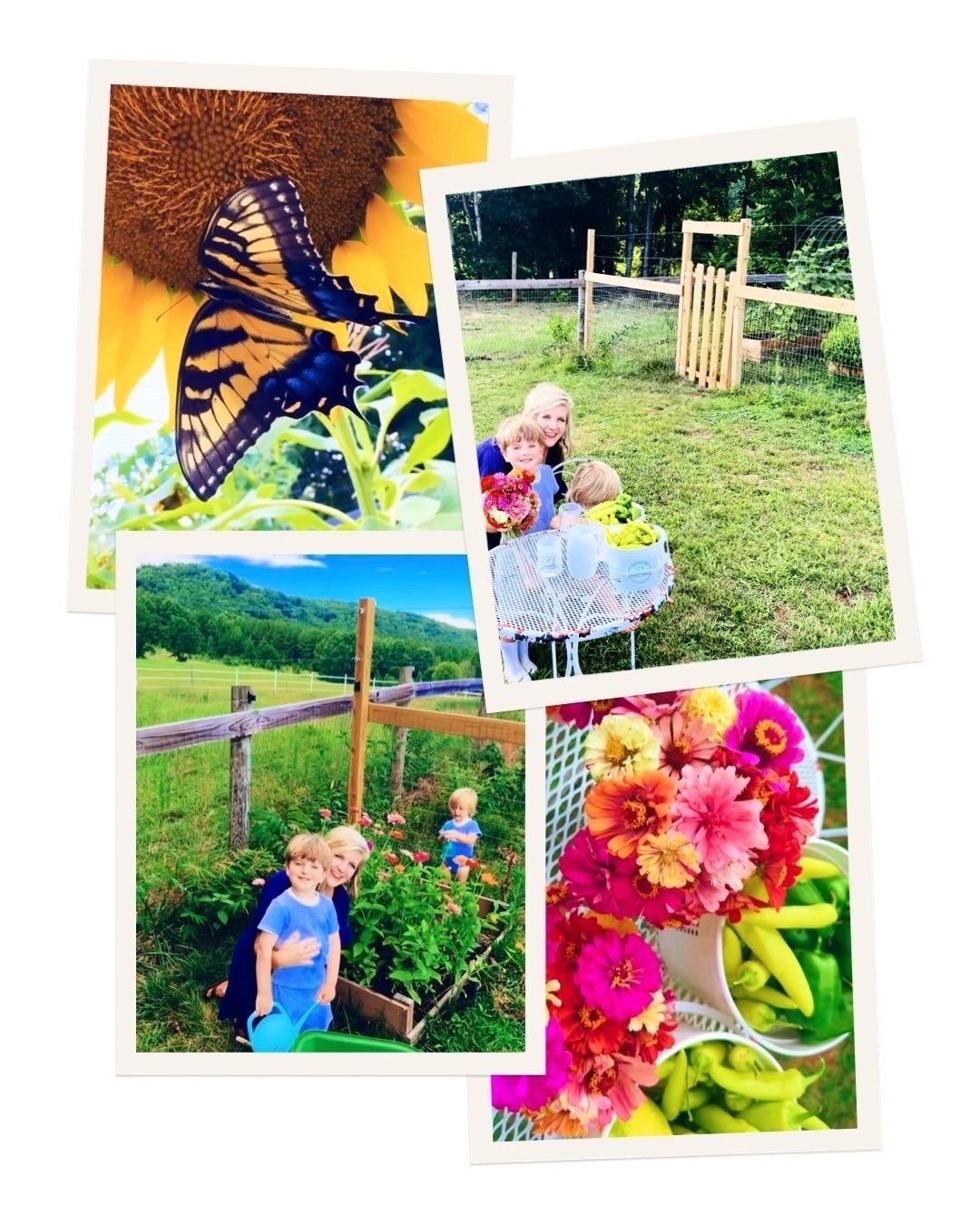 c a m e r a   r o l l   f r o m   t h e   w e e k  🎞️👶🏼🌅🦋🌸🏃‍♀️🌻👩‍🌾🐓☕️🍉🌼🧺🦌 #saturdaycameraroll #sweetsummertime #joyfuldays #farmlife #summeronthefarm