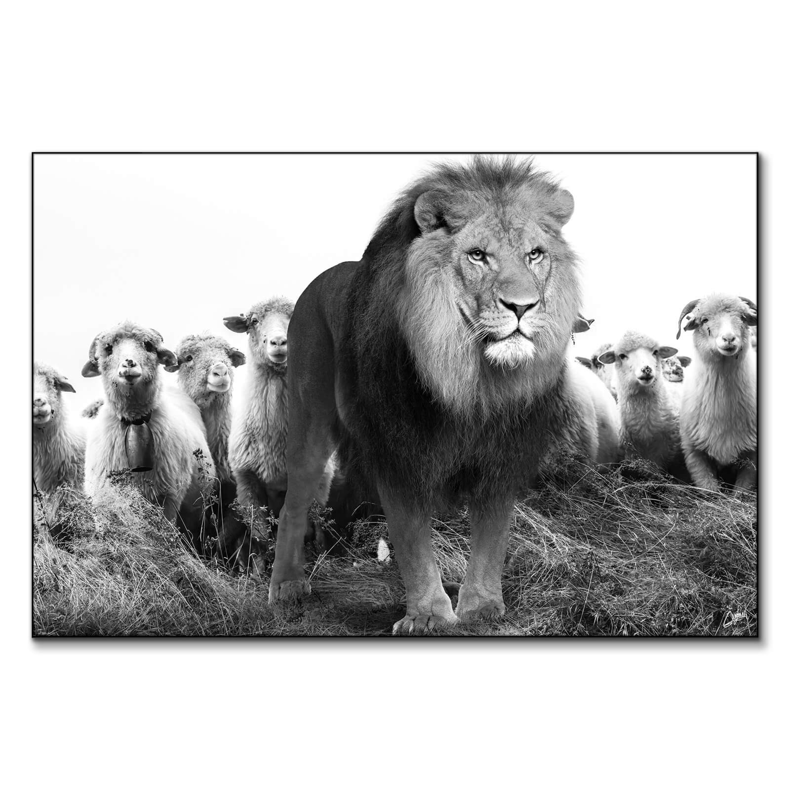 Lion and Sheep | Big Wall Decor (US)