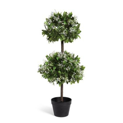 Waxleaf Privet Double Ball Topiary | Grandin Road