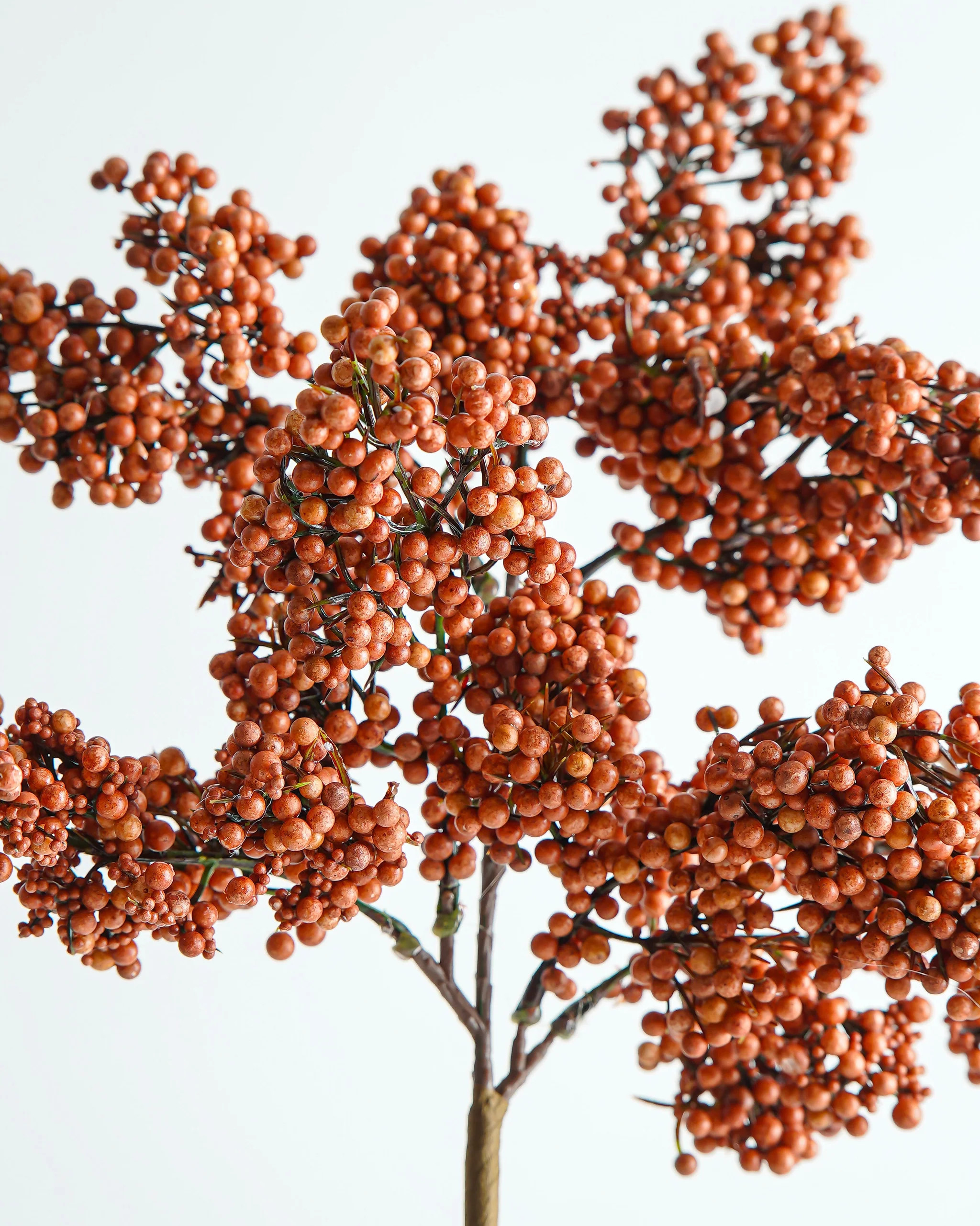 Terracotta Berry Stem | MJHome