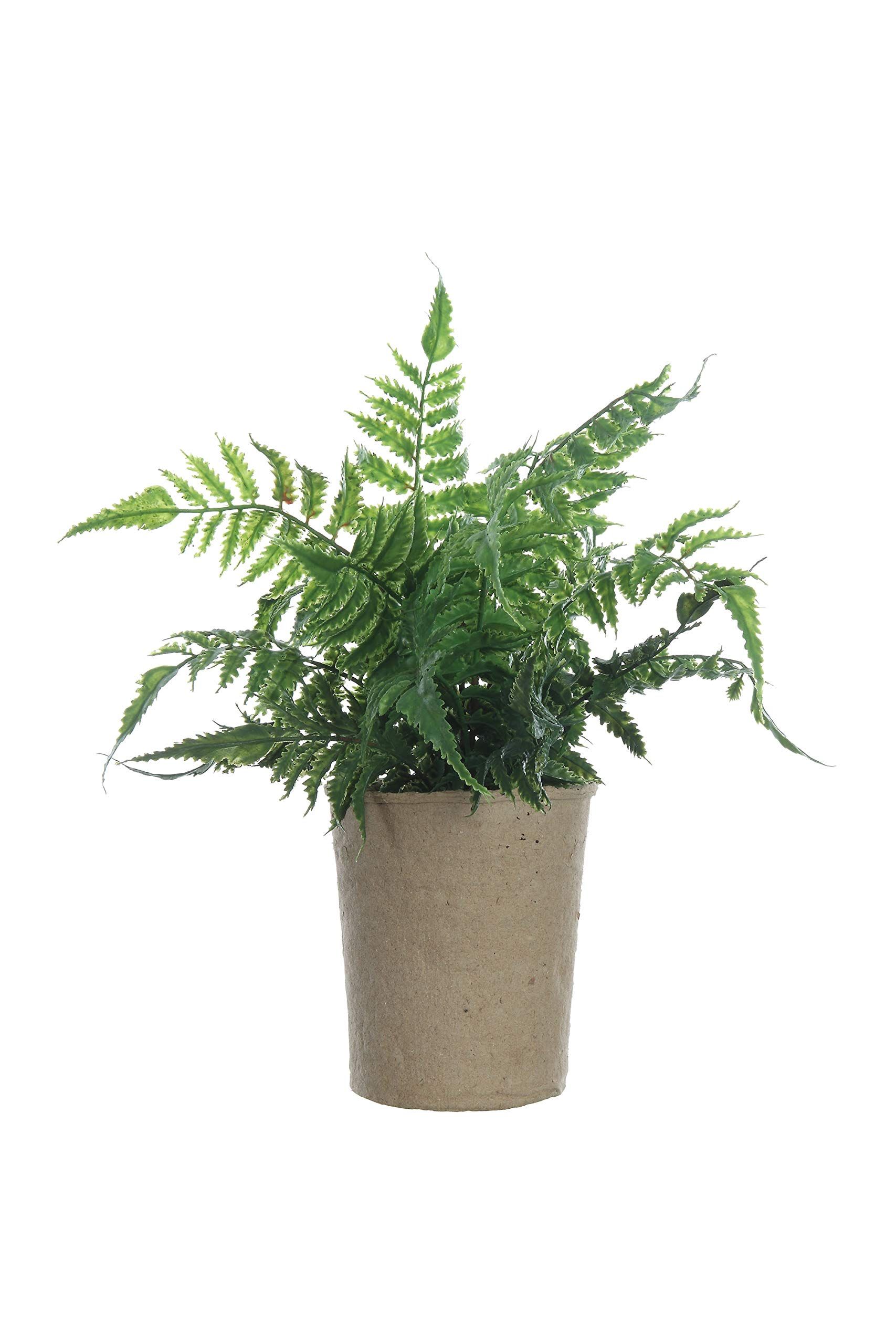 Creative Co-Op Fern in Paper Pot Faux Botanical, Green | Amazon (US)