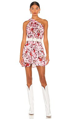 IRO Cevals Dress in Mixed Pink from Revolve.com | Revolve Clothing (Global)