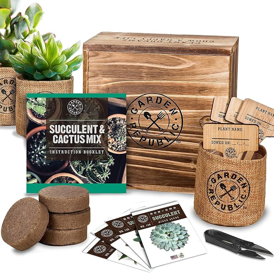 Cactus Succulent Seed Starter Kit - Indoor Garden Grow Kits, Seeds for Planting Mini Cactus Succu... | Amazon (US)