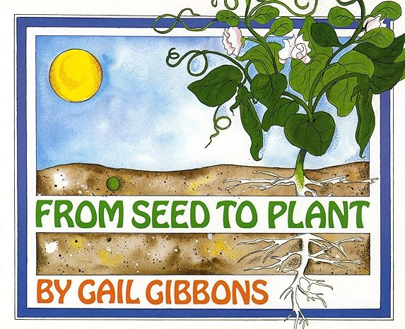 From Seed to Plant | Amazon (US)