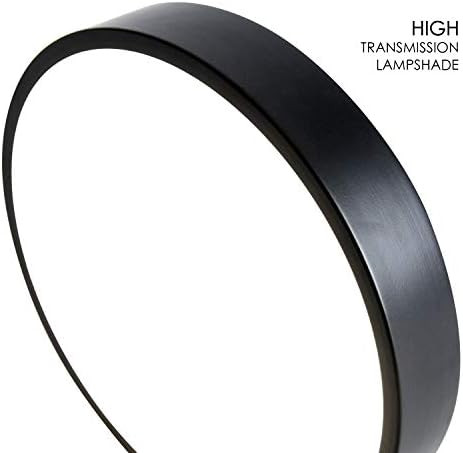 24” Led Flush Mount Lighr | Amazon (US)