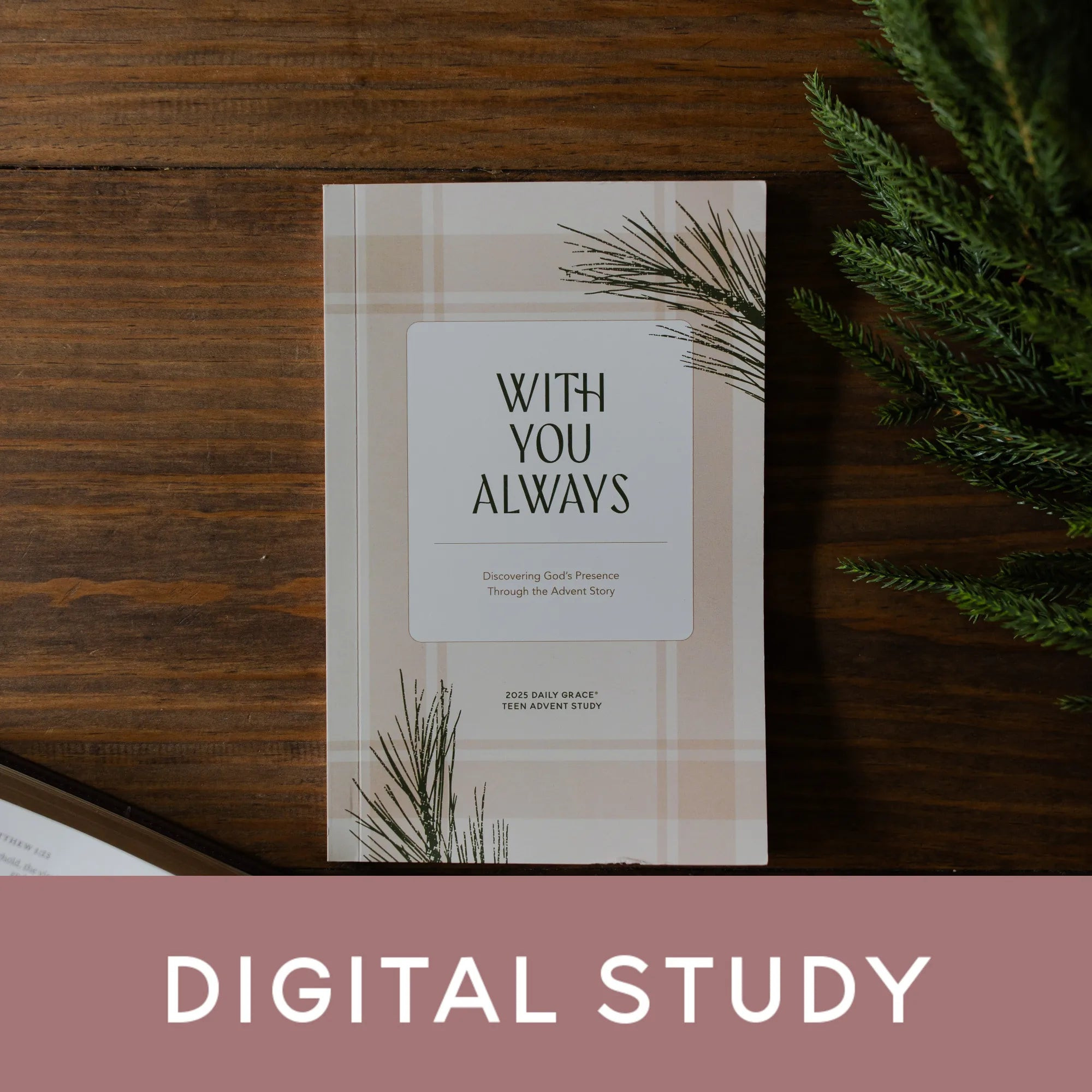 With You Always | Teen Advent Bible Digital Study | The Daily Grace Co.
