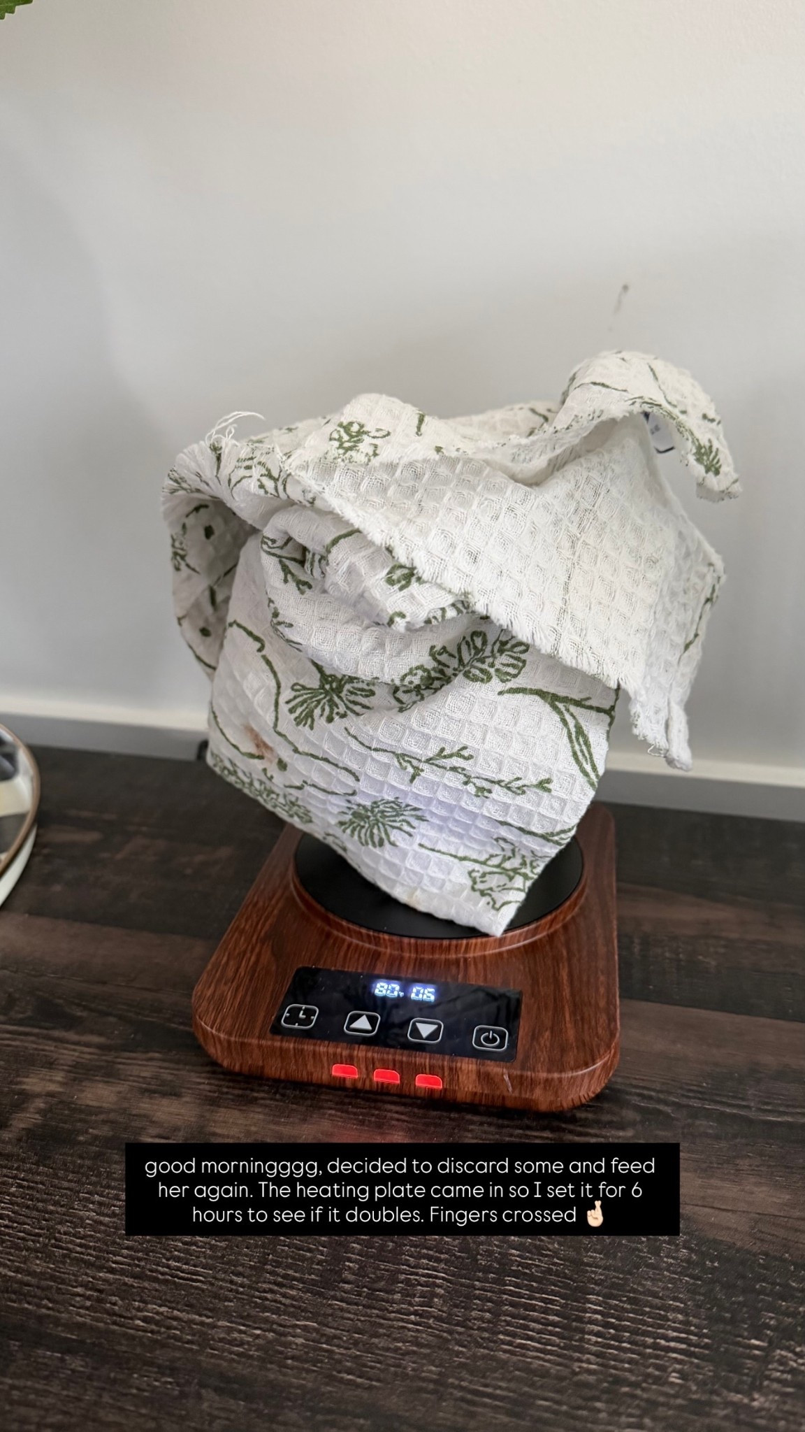 good morningggg, decided to discard some and feed her again. The heating plate came in so I set it for 6 hours to see if it doubles. Fingers crossed 🤞🏻