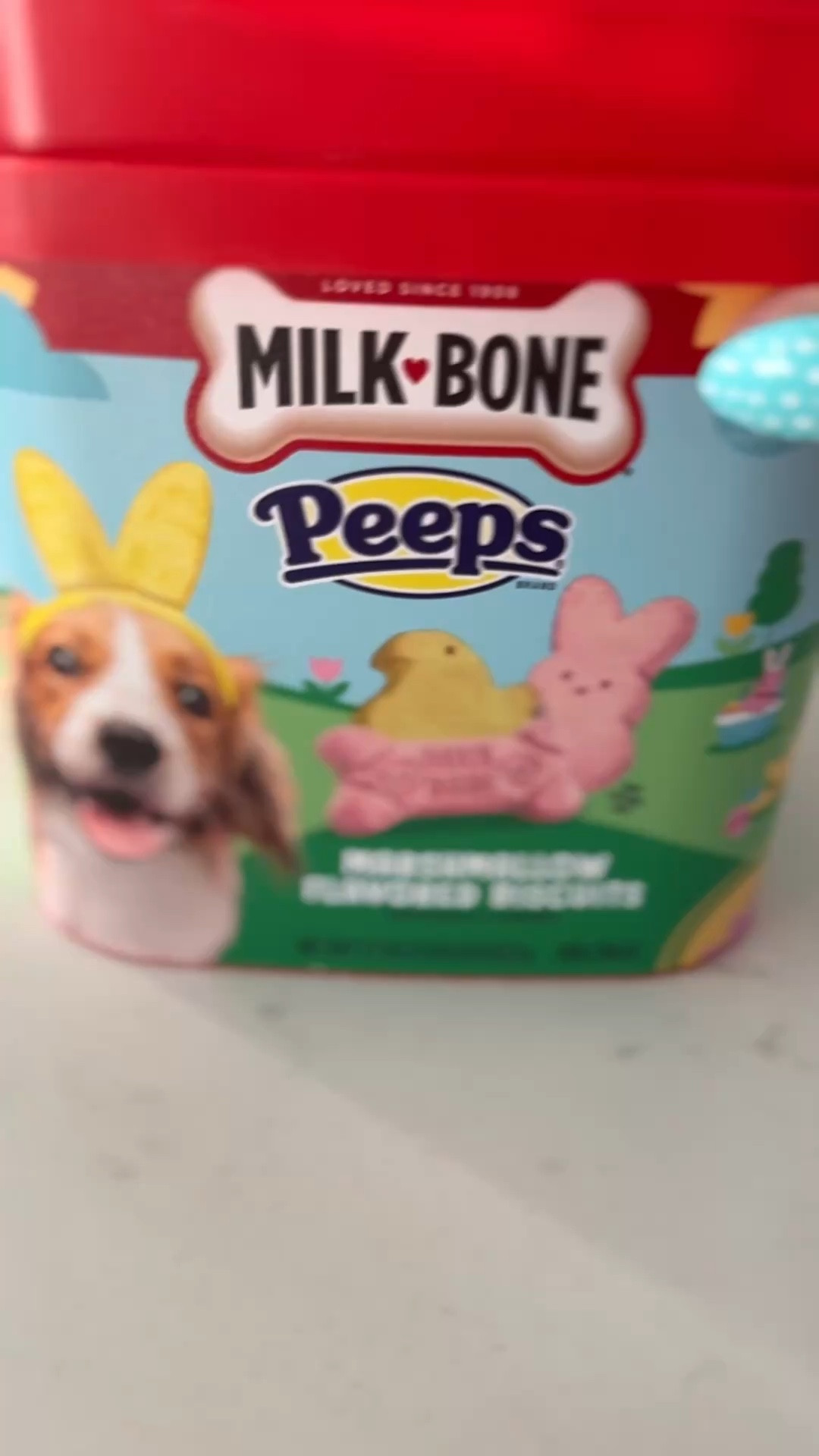 The cutest Easter dog treats for our girl 🐕‍🦺🐰🐤

#LTKSeasonal #LTKdayinmylife