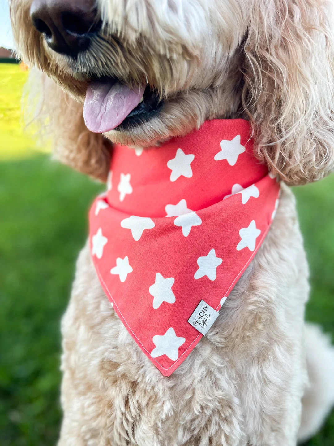 Fourth of July Dog Bandana, Summer Dog Bandana, Dog Bandana Snaps, Red Stars Dog Bandana, Dog Sca... | Etsy (Global)
