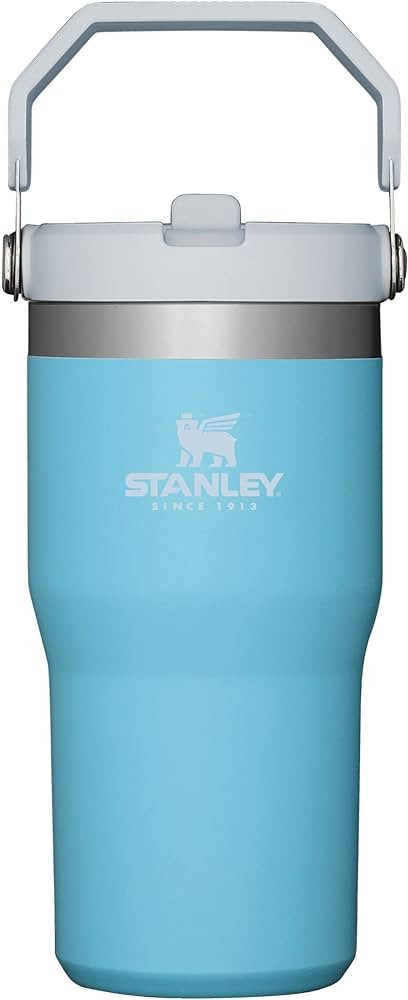 Amazon.com: STANLEY IceFlow Stainless Steel Tumbler - Vacuum Insulated Water Bottle for Home, Off... | Amazon (US)