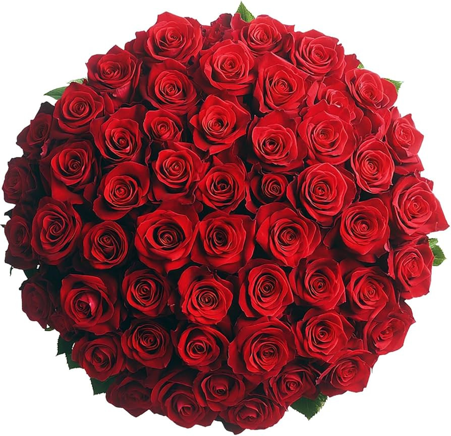 GlobalRose Fresh Red Roses - 50 Real Flowers Fresh Bouquet for Anniversary, Birthday, Valentine... | Amazon (US)