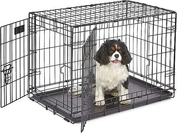 MidWest iCrate Fold & Carry Double Door Collapsible Wire Dog Crate | Chewy.com