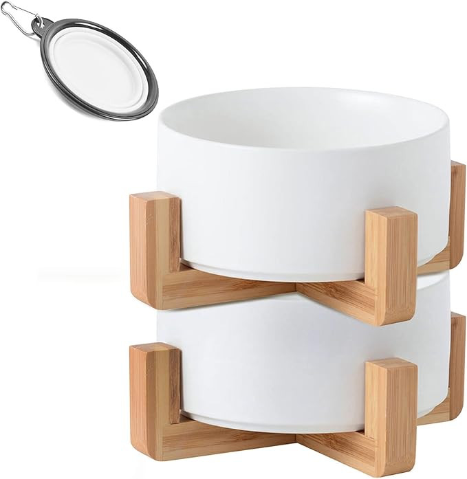 Petygooing White Ceramic Dog Cat Bowl Dish with Stand for Food and Water Feeder , Modern Cute Hea... | Amazon (US)