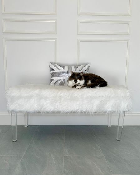 This white faux fur acrylic leg storage bench is on sale in the Wayfair Black Friday sale. It’s perfect for bedroom storage, hallway storage and offices

#LTKsalealert #LTKhome #LTKCyberweek