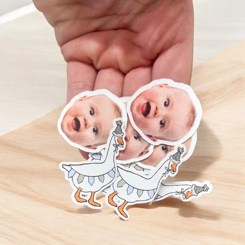 Silly Goose Confetti and Table Decorations | One Silly Goose | Silly Goose Birthday Party | Silly... | Etsy (US)