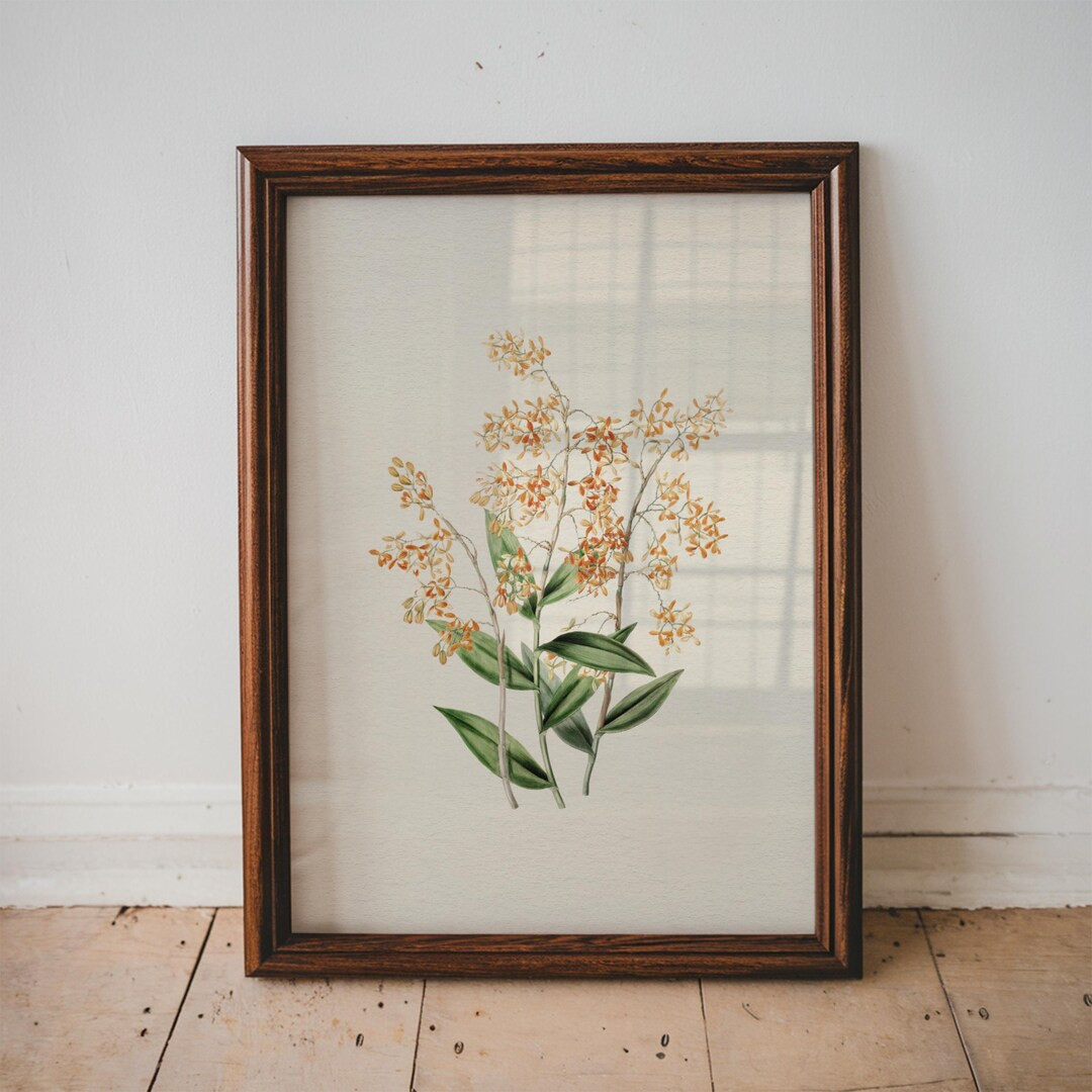 Vintage Orange Flower Print for Baby Nursery Minimal Botanical Wall Art Toddler Room Decor Floral... | Etsy (US)