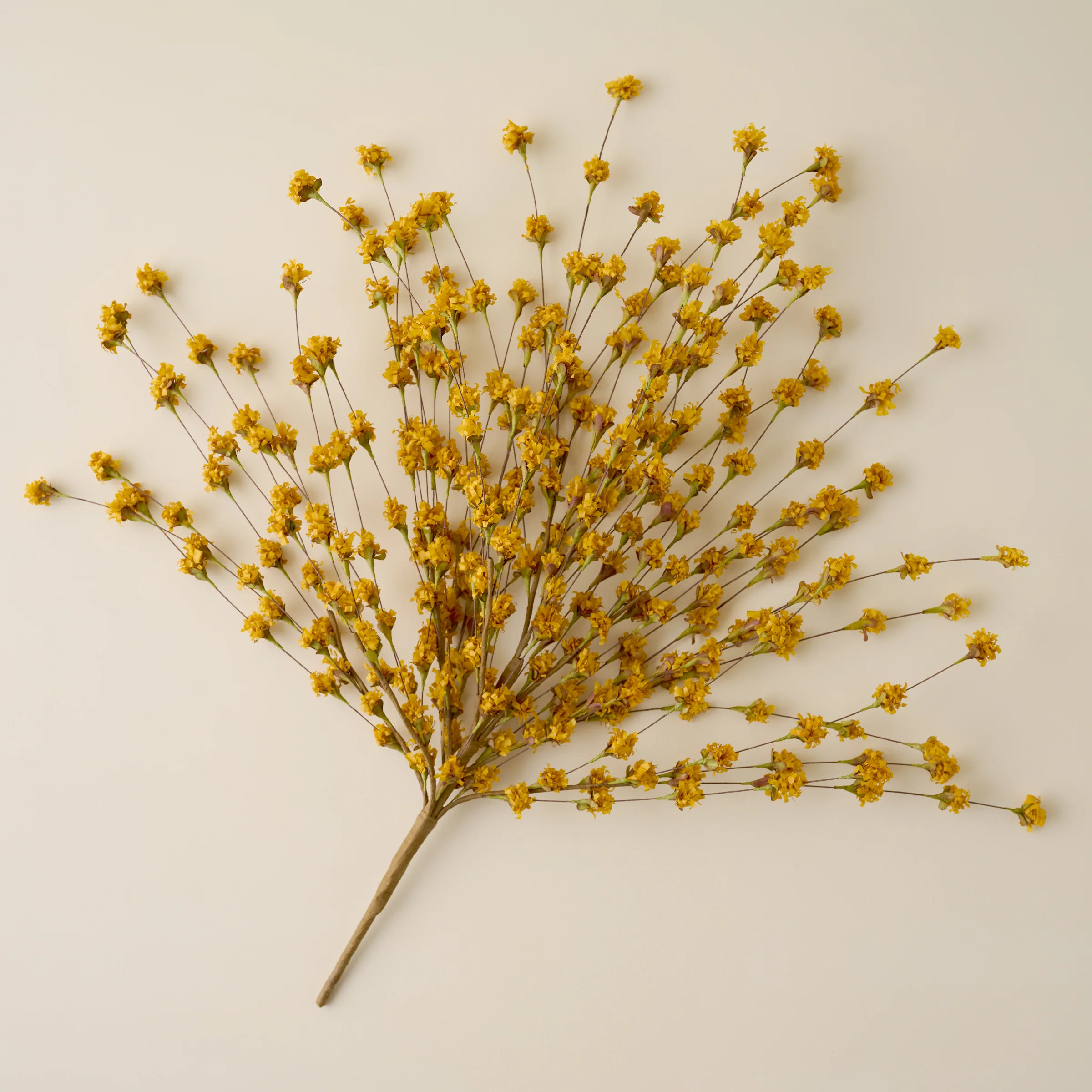 Yellow Wildflower Mix | Magnolia