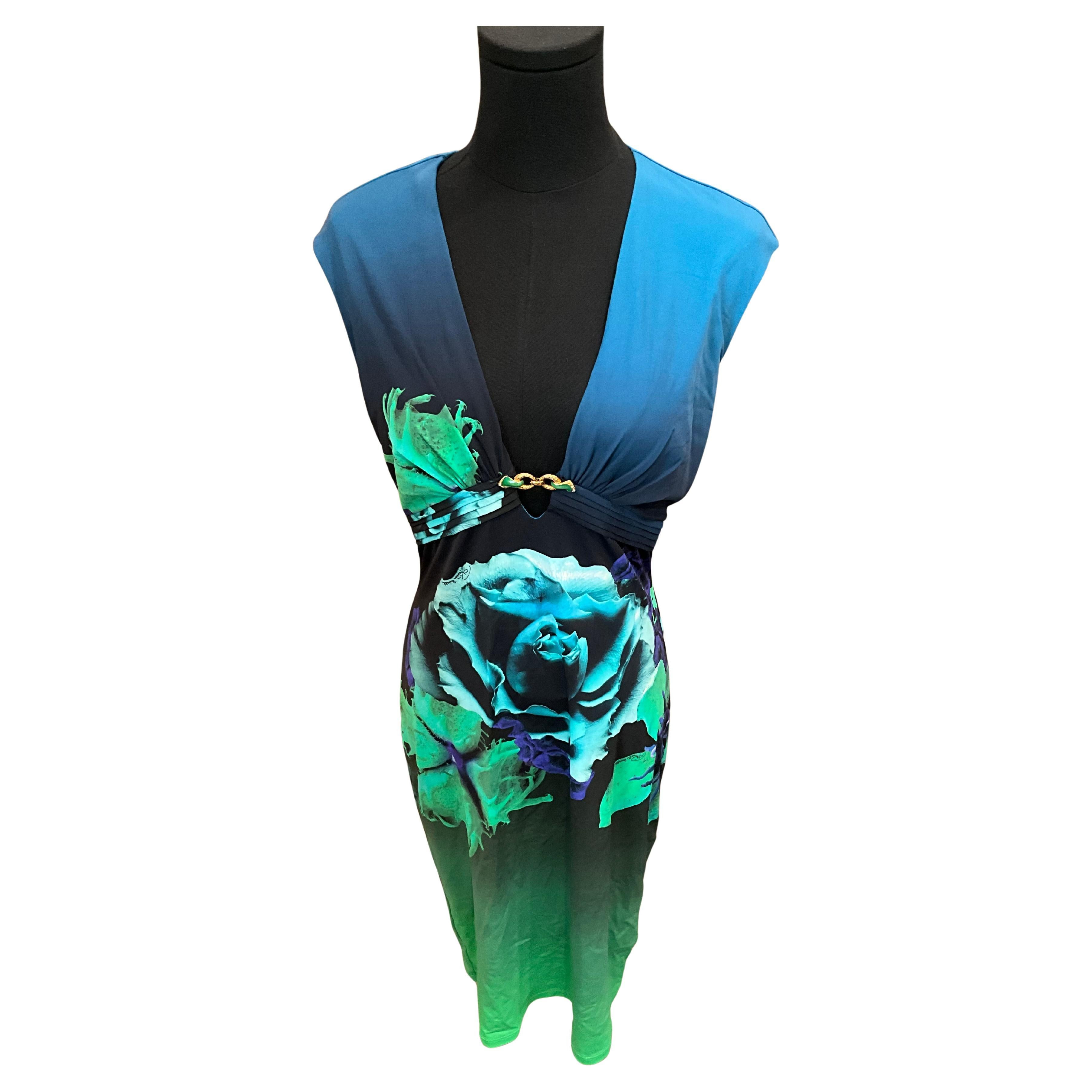 Roberto Cavalli Blue Print Dress | 1stDibs