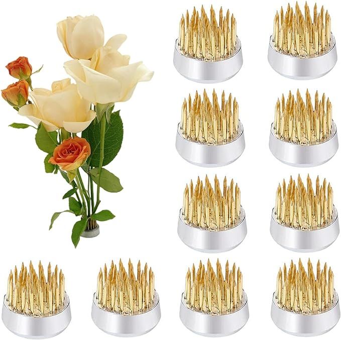 10Pcs Floral Frogs 23mm/0.9inch Round Kenzans Mini Flower Frog Pin Frog Japanese Ikebana Spiky Fr... | Amazon (US)