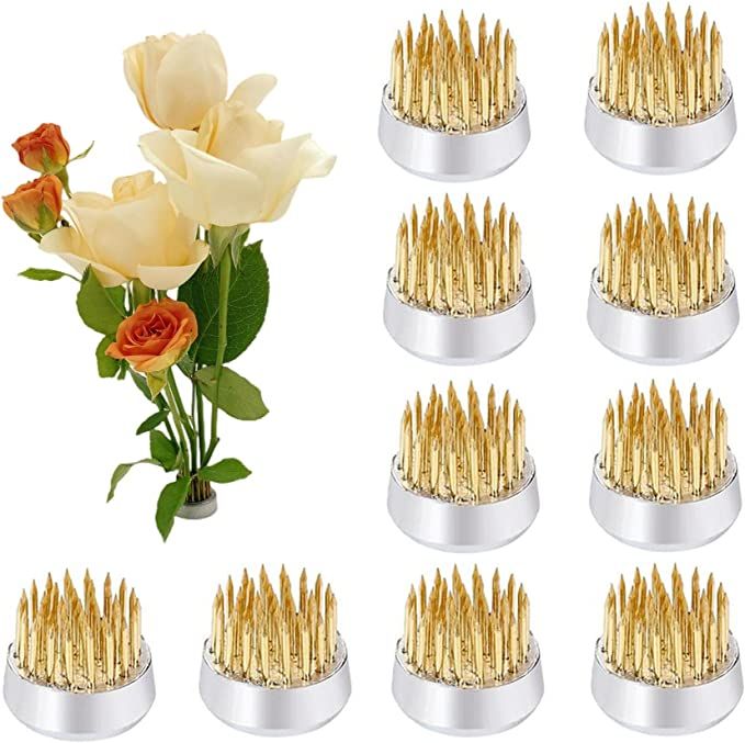 10Pcs Floral Frogs 23mm/0.9inch Round Kenzans Mini Flower Frog Pin Frog Japanese Ikebana Spiky Fr... | Amazon (US)