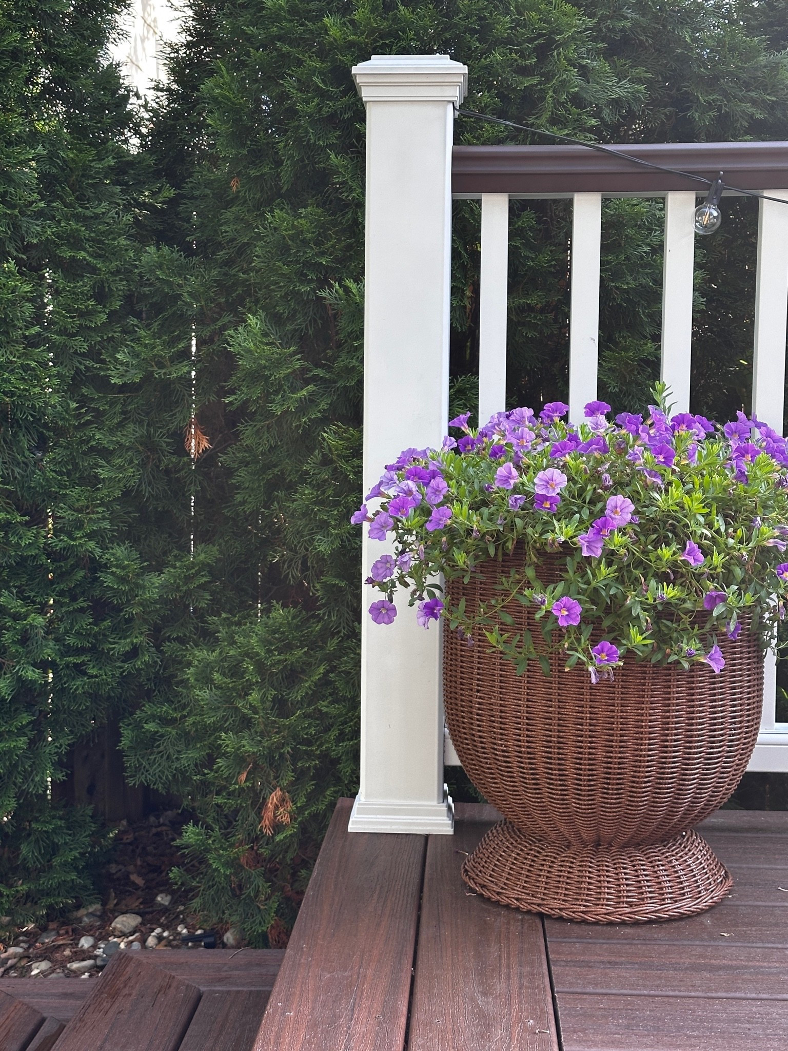 Inexpensive coastal cottage flower pot

Gardening, garden, garden planter, wicker planter, wicker flower pot, rattan flower pot, backyard decor, landscape decor, backyard design

#LTKHome
