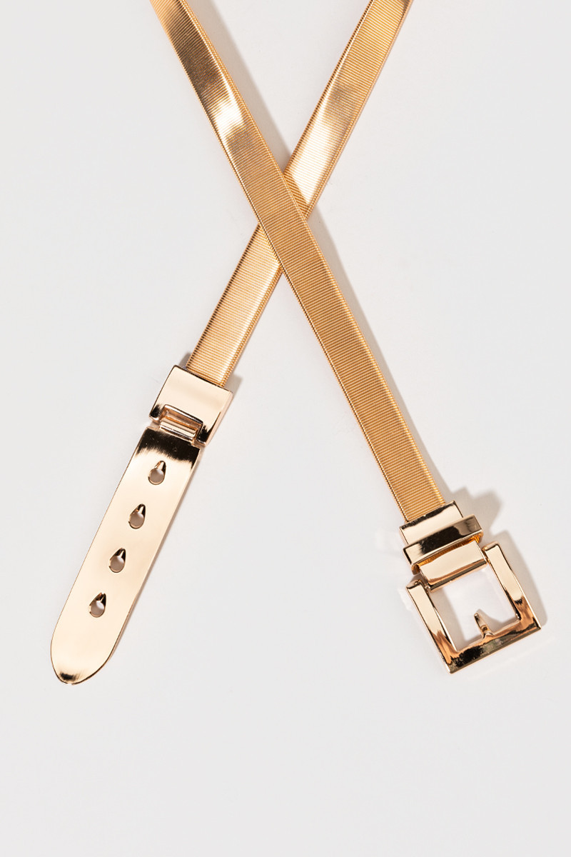 Lorena Snake Chain Buckle Belt | Francesca's