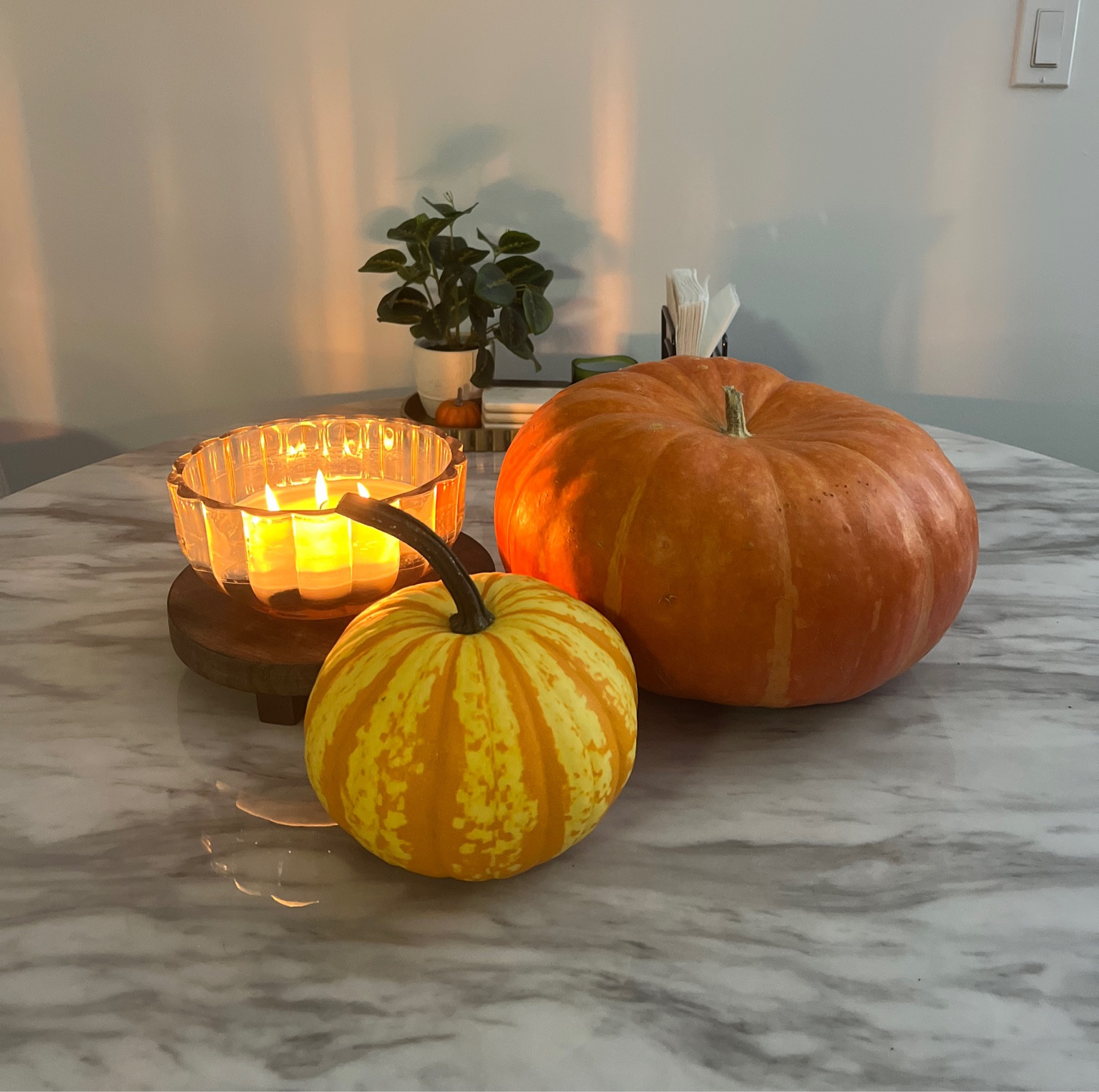 5 Wick Candle with the best fall scents 

Target shopping essentials, target candles, home decor, large candles

#LTKFindsUnder50 #LTKSeasonal #LTKHome