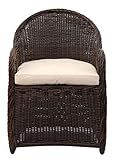 Safavieh PAT2509B Outdoor Collection Newton Brown and Beige Wicker Cushion Arm Chair | Amazon (US)