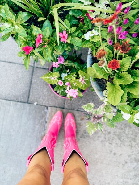Pink cowgirl boots 

#LTKStyleTip #LTKShoeCrush #LTKFestival