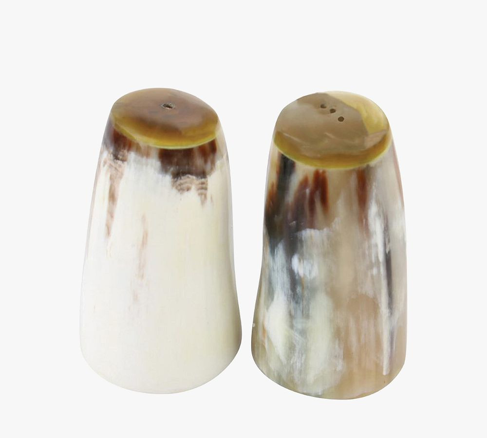 Horn Handcrafted Salt & Pepper Shakers | Pottery Barn (US)